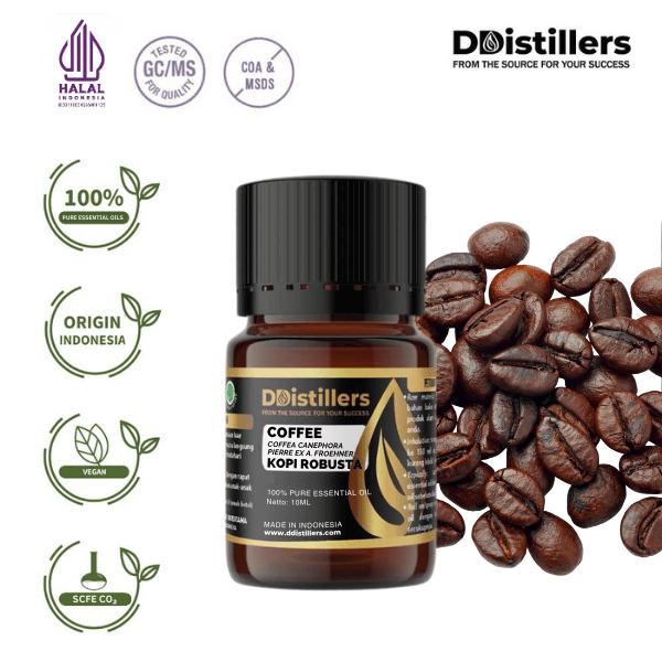 Coffee / Kopi Robusta Essential Essential Oil Pure 100%, 2-10ML GS