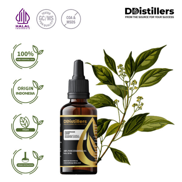 fb1878a1d9534fd297bcfea2c1b8b335.jpg Camphor Leaf / Daun Kamper Essential Oil Pure 100%, 50-100ML GS