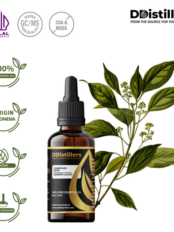 Camphor Leaf / Daun Kamper Essential Oil Pure 100%, 50-100ML GS