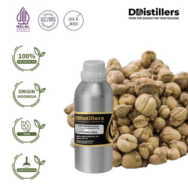 Cardamom (Java) / Kapulaga Essential Oil Pure 100%, 500ML-1L HDPE/SS