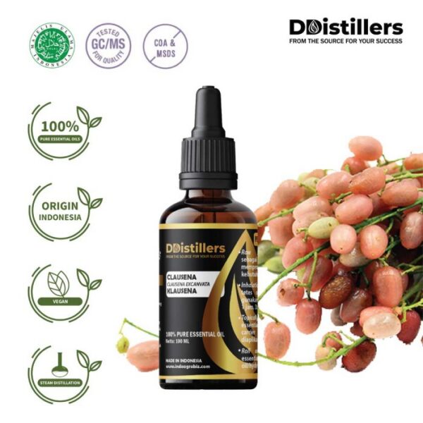 Clausena / Klausena Essential Oil Pure 100%, 50-100ML GS