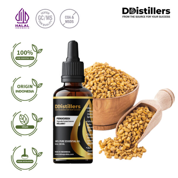 Fenugreek / Klabet Essential Oil Pure 100%, 50-100ML GS