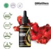Ginger (Red SCFE) / Jahe Merah Essential Oil Pure 100%, 50-100ML GS