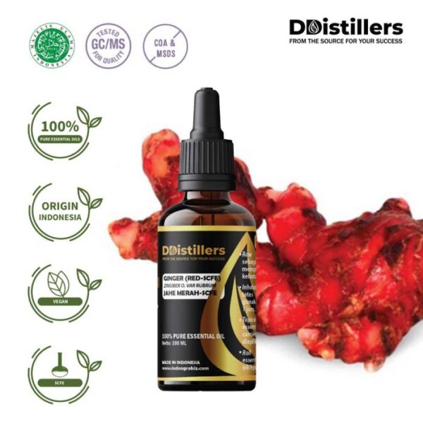 Ginger (Red SCFE) / Jahe Merah Essential Oil Pure 100%, 50-100ML GS