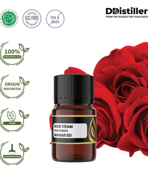 Rose Steam / Mawar Essential Oil Pure 100%, 1-12ML GS