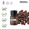 Coffee / Kopi Robusta Essential Essential Oil Pure 100%, 2-10ML GS