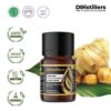 fe6c82f5eaf2498595c0e761ede652d9.jpg Curcuma / Temulawak Essential Oil Pure 100%, 2-10ML GS