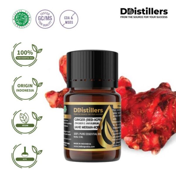 Ginger (Red SCFE) / Jahe Merah Essential Oil Pure 100%, 2-10ML GS