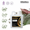 Betel (Red) / Sirih Merah Essential Oil Pure 100%, 500ML-1L HDPE/SS