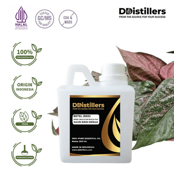 Betel (Red) / Sirih Merah Essential Oil Pure 100%, 500ML-1L HDPE/SS
