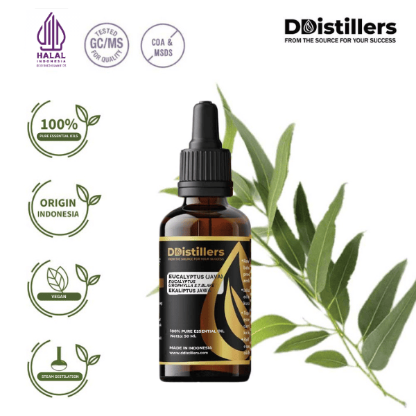 Eucalyptus (Java) / Eucalyptus Jawa Essential Oil Pure 100%, 50-100ML GS