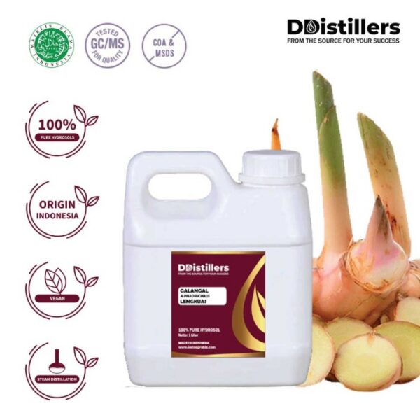 1aa97d120b1b4d65aca9791acecbad00.jpg Hydrosol Galangal / Lengkuas 100%, 500ML-1L HDPE