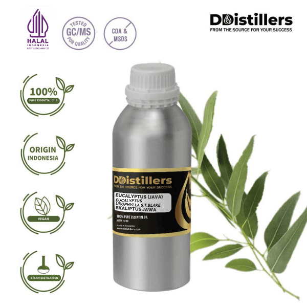 Eucalyptus (Java) / Eucalyptus Jawa Essential Oil Pure 100%, 500ML-1L HDPE/SS