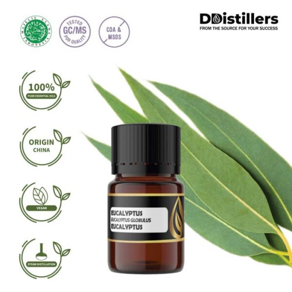 Eucalyptus (Globulus) / Eucalyptus Essential Oil Pure 100%, 2-10ML GS