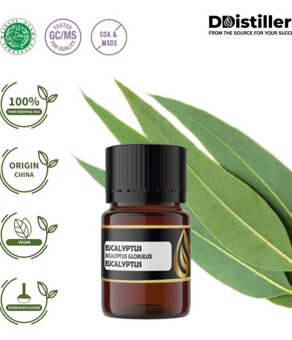 Eucalyptus (Globulus) / Eucalyptus Essential Oil Pure 100%, 2-10ML GS