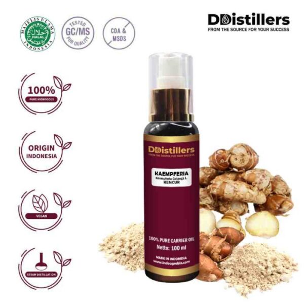 Hydrosol kaempferia 100%, 100ML GS