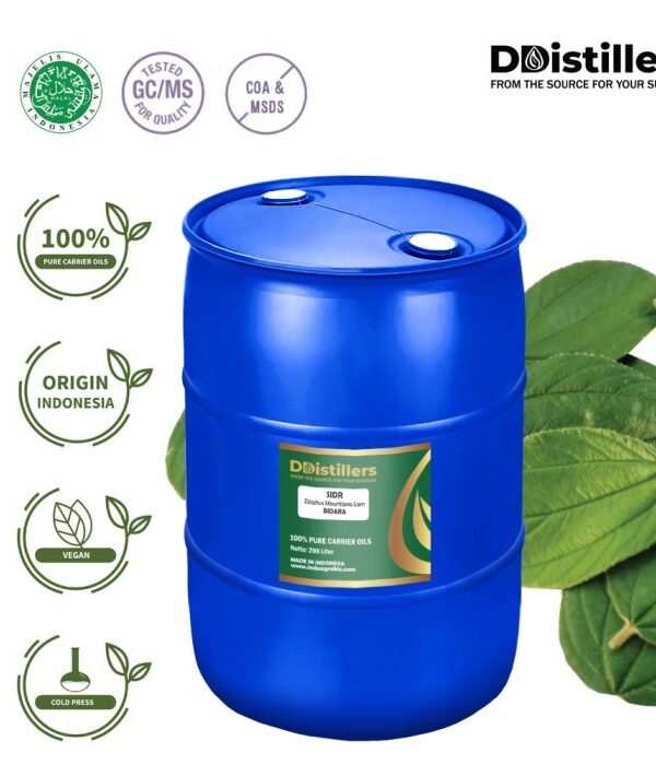 Sidr / Jujube / Bidara Carrier Oil Pure 100%, 201-999KG DRUM HDPE