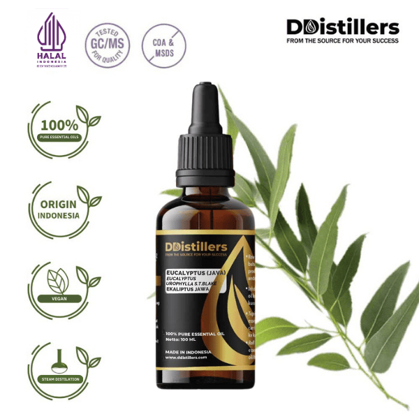 Eucalyptus (Java) / Eucalyptus Jawa Essential Oil Pure 100%, 50-100ML GS