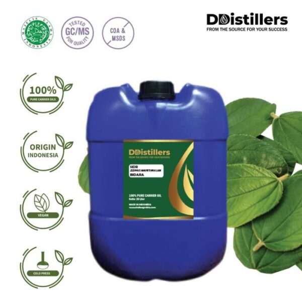Sidr / Jujube / Bidara Carrier Oil Pure 100%, 101-200KG HDPE