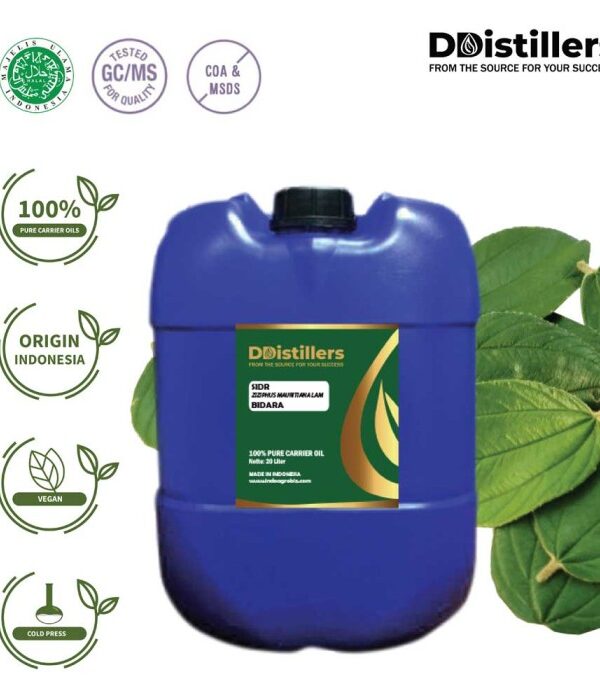 Sidr / Jujube / Bidara Carrier Oil Pure 100%, 101-200KG HDPE