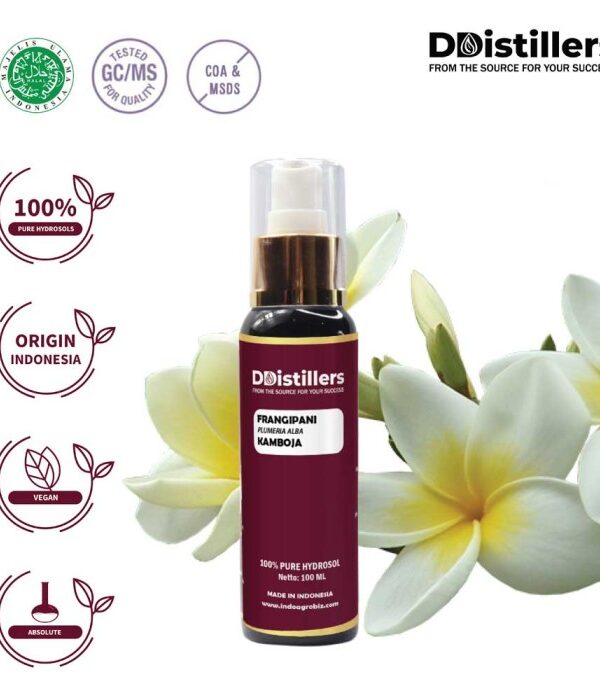 Hydrosol Frangipani / Kamboja 100%, 100ML GS