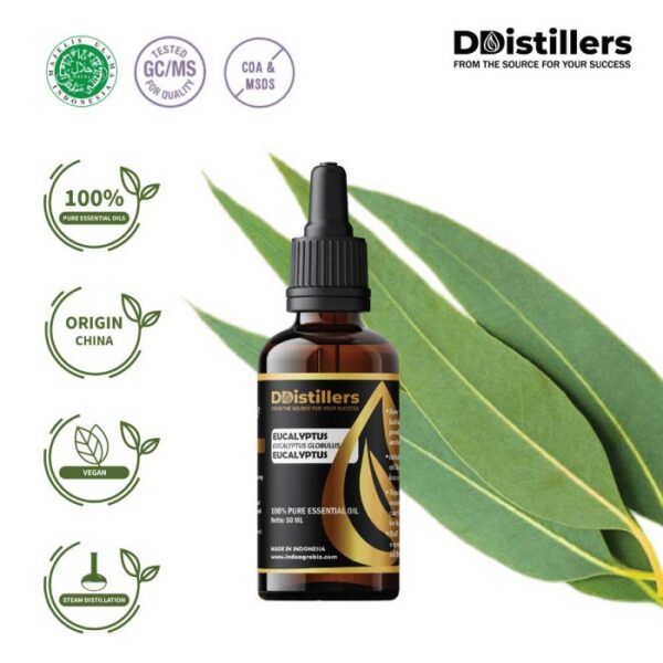 Eucalyptus (Globulus) / Eucalyptus Essential Oil Pure 100%, 50-100ML GS