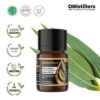 Eucalyptus (Globulus) / Eucalyptus Essential Oil Pure 100%, 2-10ML GS
