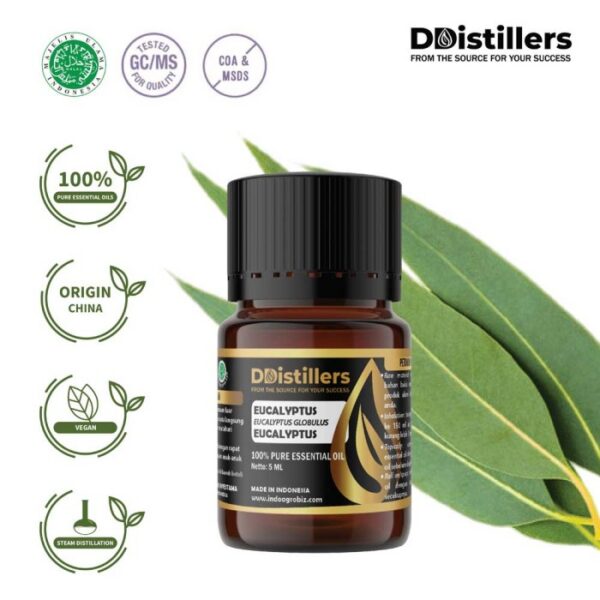 Eucalyptus (Globulus) / Eucalyptus Essential Oil Pure 100%, 2-10ML GS