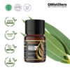 Eucalyptus (Globulus) / Eucalyptus Essential Oil Pure 100%, 2-10ML GS