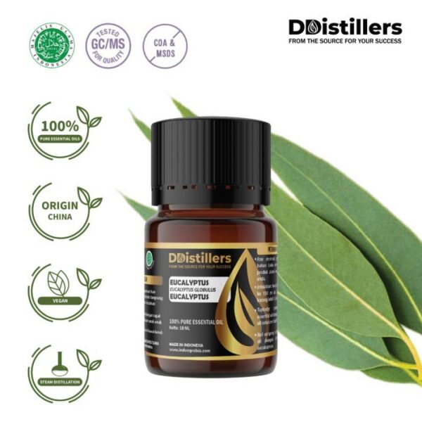Eucalyptus (Globulus) / Eucalyptus Essential Oil Pure 100%, 2-10ML GS