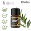 Eucalyptus (Java) / Eucalyptus Jawa Essential Oil Pure 100%, 2-10ML GS
