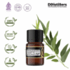 Eucalyptus (Java) / Eucalyptus Jawa Essential Oil Pure 100%, 2-10ML GS
