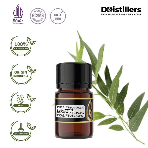 Eucalyptus (Java) / Eucalyptus Jawa Essential Oil Pure 100%, 2-10ML GS