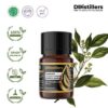 Camphor Wood / Kayu Kamper Essential Oil Pure 100%, 2-10ML GS