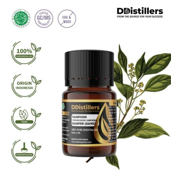 Camphor Wood / Kayu Kamper Essential Oil Pure 100%, 2-10ML GS
