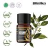 Camphor Wood / Kayu Kamper Essential Oil Pure 100%, 2-10ML GS