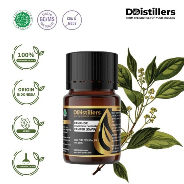 Camphor Wood / Kayu Kamper Essential Oil Pure 100%, 2-10ML GS