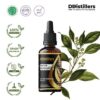 891731b703284935828ba652d6d80dcd-1.jpg Camphor Wood / Kayu Kamper Essential Oil Pure 100%, 50-100ML GS