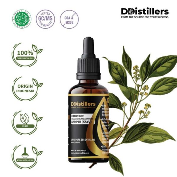 891731b703284935828ba652d6d80dcd-1.jpg Camphor Wood / Kayu Kamper Essential Oil Pure 100%, 50-100ML GS