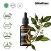 df8d87fe5004466fbaca895b7661681d-1.jpg Camphor Wood / Kayu Kamper Essential Oil Pure 100%, 50-100ML GS