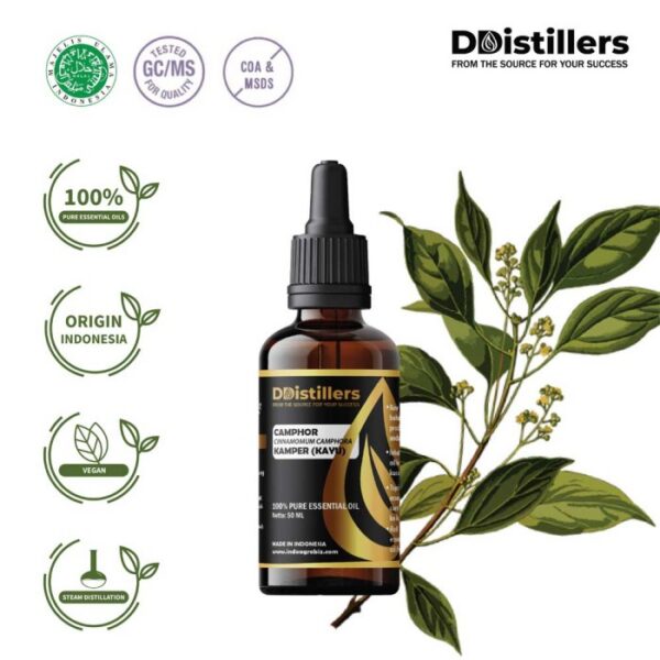 df8d87fe5004466fbaca895b7661681d-1.jpg Camphor Wood / Kayu Kamper Essential Oil Pure 100%, 50-100ML GS