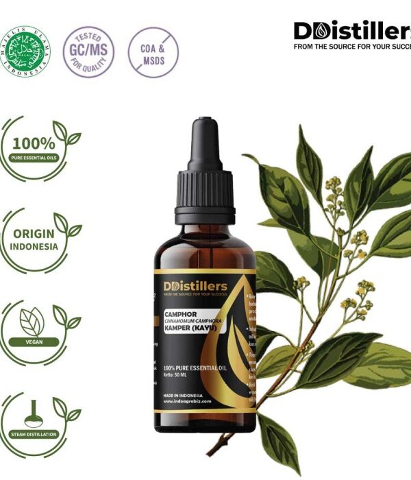 Camphor Wood / Kayu Kamper Essential Oil Pure 100%, 50-100ML GS