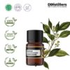 Camphor Wood / Kayu Kamper Essential Oil Pure 100%, 2-10ML GS
