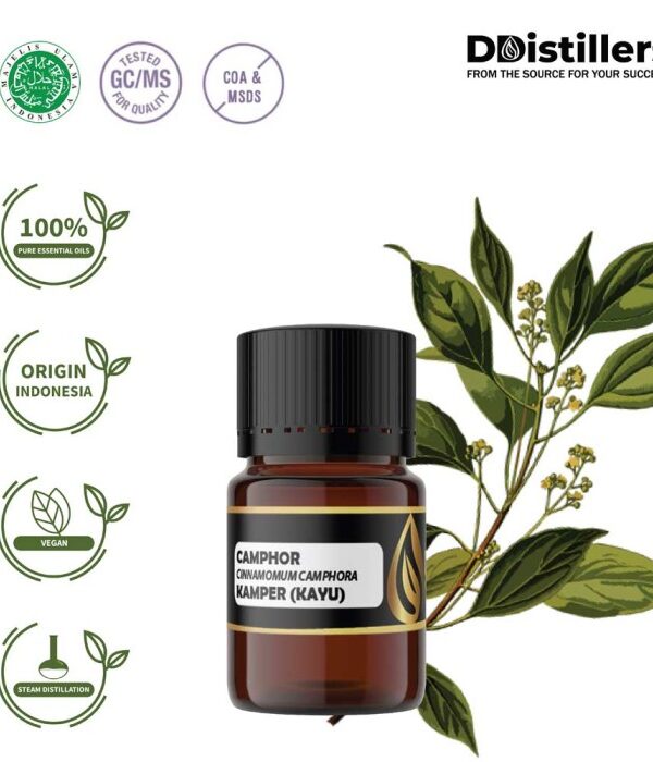 Camphor Wood / Kayu Kamper Essential Oil Pure 100%, 2-10ML GS