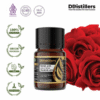 Rose / Mawar Absolute Oil Pure 100%, 2-10ML GS