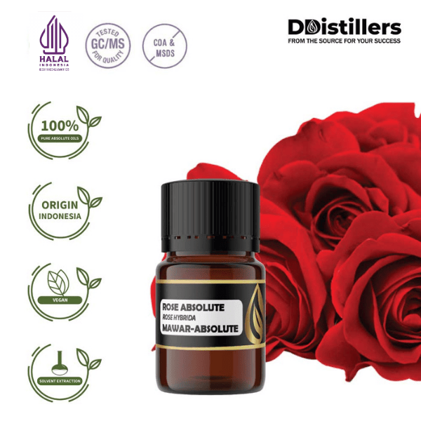 Rose / Mawar Absolute Oil Pure 100%, 2-10ML GS