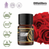 Rose / Mawar Absolute Oil Pure 100%, 2-10ML GS
